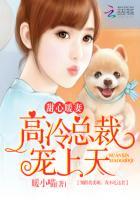 甜心暖妻:高冷总裁宠上天
