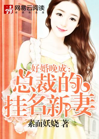 好婚晚成:总裁的挂名新妻